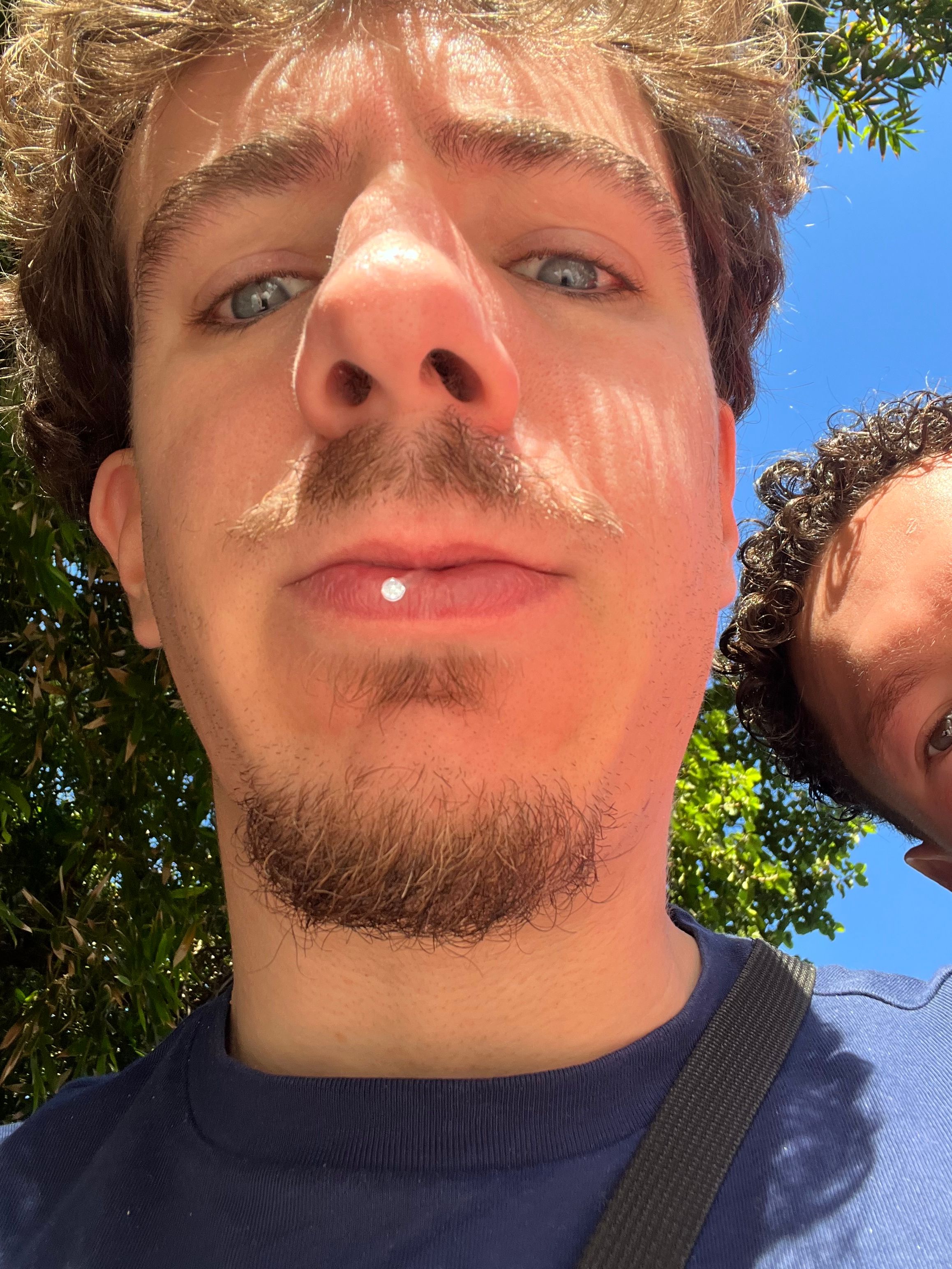 Photo de profil de Liam Monnier