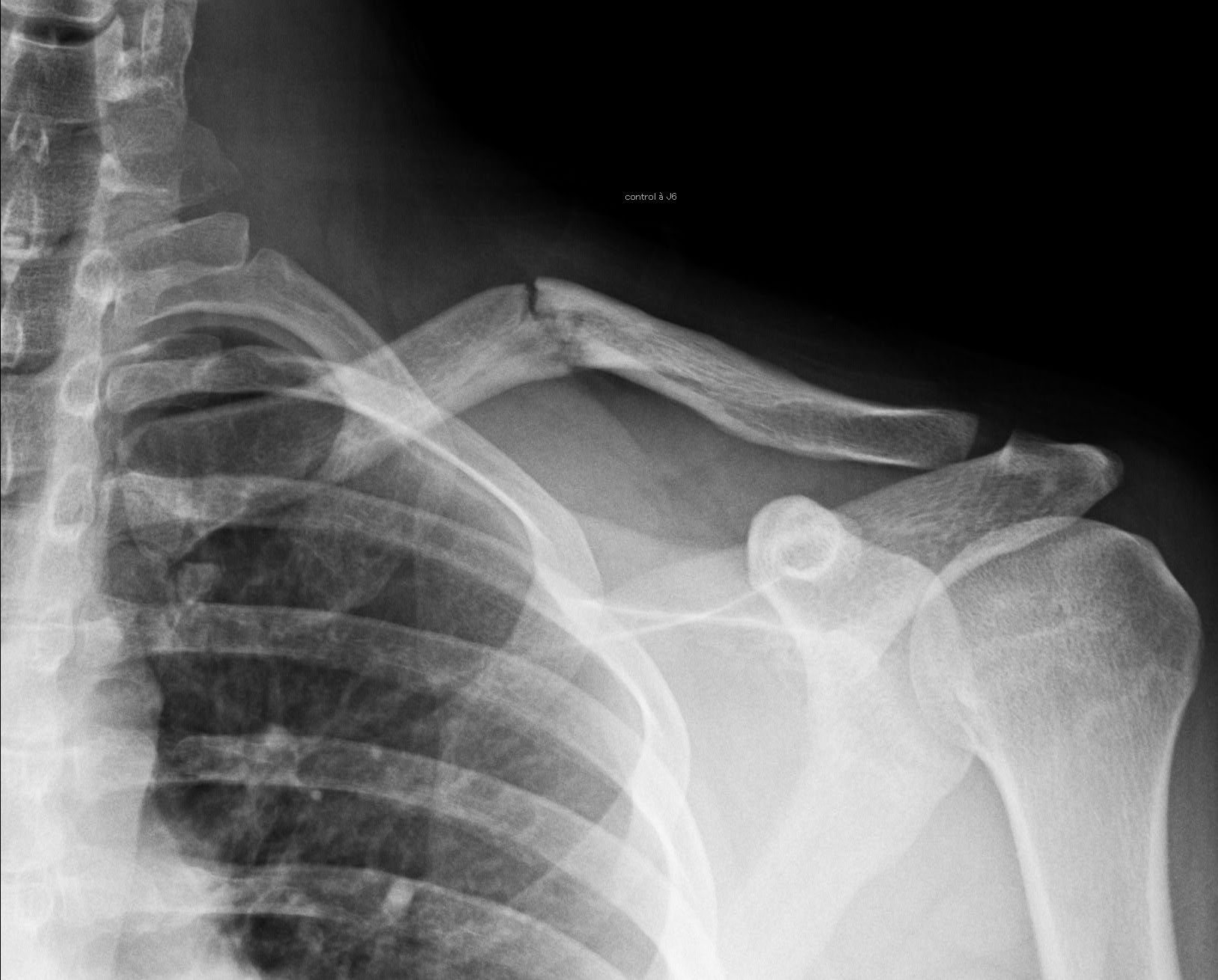 Photo de profil de Maxime Cambou